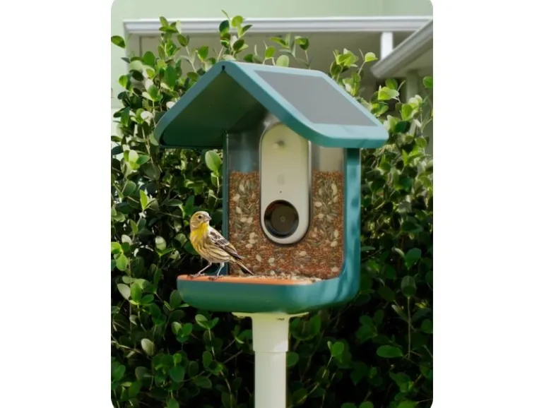 Birdbuddy Futterspender PRO Solar mit AI-Vogelerkennung