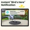 Birdfy Intelligentes Vogelbad mit Kamera