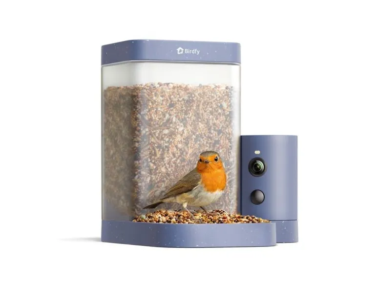 Birdfy Vogelhaus mit Kamera 60 fps 1080p