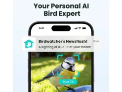 Birdfy Vogelhaus mit Kamera 60 fps 1080p