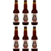 Birrificio San Martino Bier Bad Attitude Dude 6 x 0.33 l