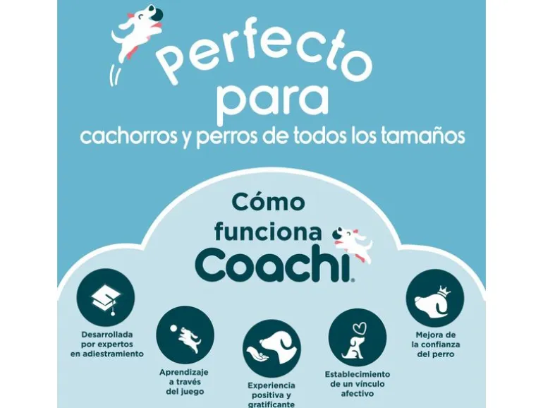 Coachi Target Stick 15-70 cm