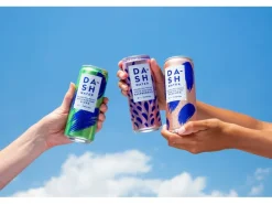 Dash Water Soft-Drinks Discovery Box 16 x 0.33 l