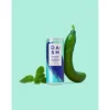 Dash Water Soft-Drinks Sparkling Cucumber und Minze 12 x 0.33 l