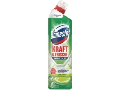 Domestos WC-Reiniger Aktiv Fresh Lime Fresh WC Gel 750 ml