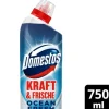 Domestos WC-Reiniger Aktiv Kraft Ocean Fresh WC Gel 750 ml