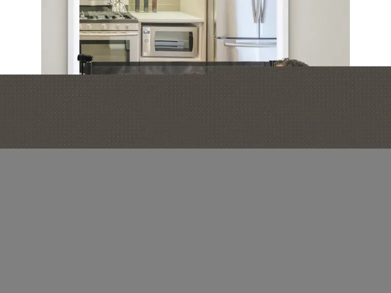 DREAMBABY Türschutzgitter Glide n Hide 60 cm - 140 cm Schwarz