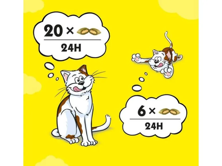 Dreamies Katzen-Snack Tub Käse 350 g