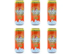 Erbak-Uludag Limonade Gazoz Orange 6 x 330 ml