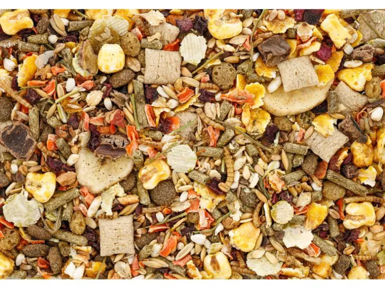 Eric Schweizer Hauptfutter für Ratten, 800 g