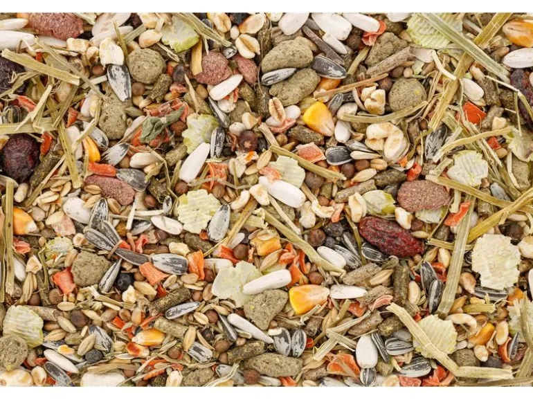 Eric Schweizer Hauptfutter für Meerschweinchen, 850 g