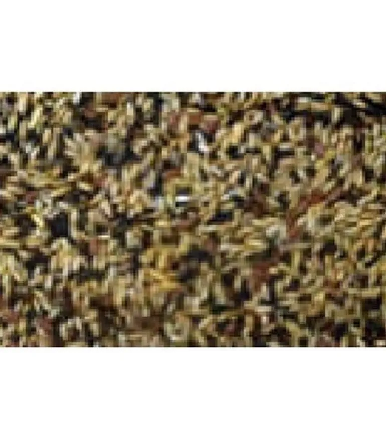 Eric Schweizer Ziervogelfutter Kanarien-Singfutter, 1 kg