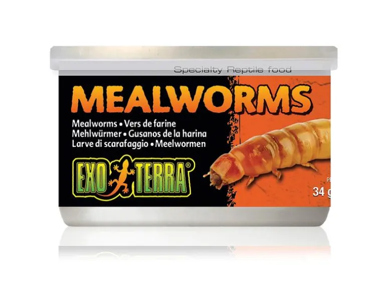 Exo Terra Dosenfutter Mealworms, 34 g