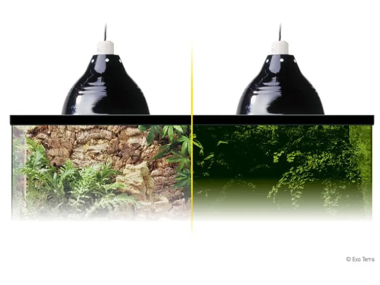 Exo Terra Klemmlampe Glow Light M, Ø 21 cm
