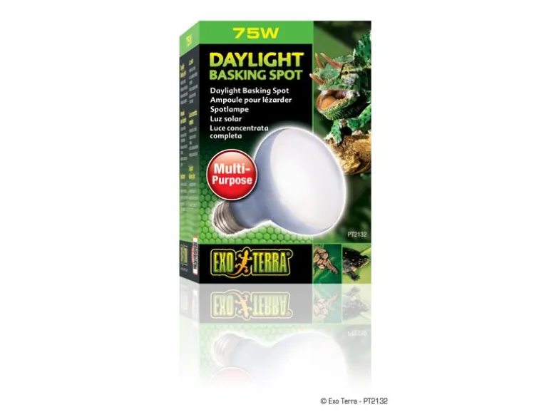 Exo Terra Terrarienlampe Daylight Basking Spot E27, R20/75W
