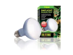 Exo Terra Terrarienlampe Daylight Basking Spot E27, R20/75W
