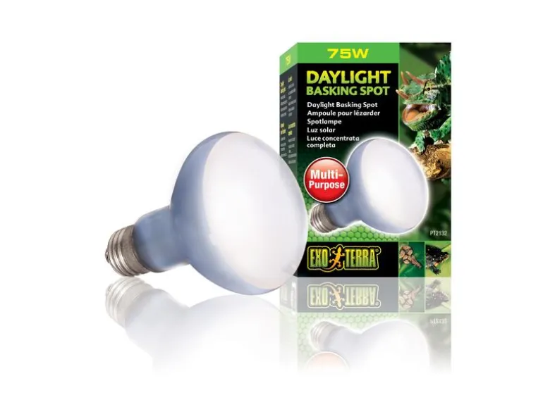 Exo Terra Terrarienlampe Daylight Basking Spot E27, R20/75W