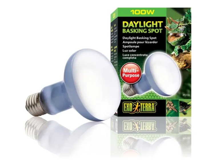 Exo Terra Terrarienlampe Daylight Basking Spot E27, R25/100W
