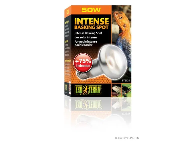 Exo Terra Terrarienlampe Intense Basking Spot E27, R20/50W