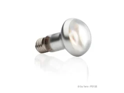 Exo Terra Terrarienlampe Intense Basking Spot E27, R20/50W