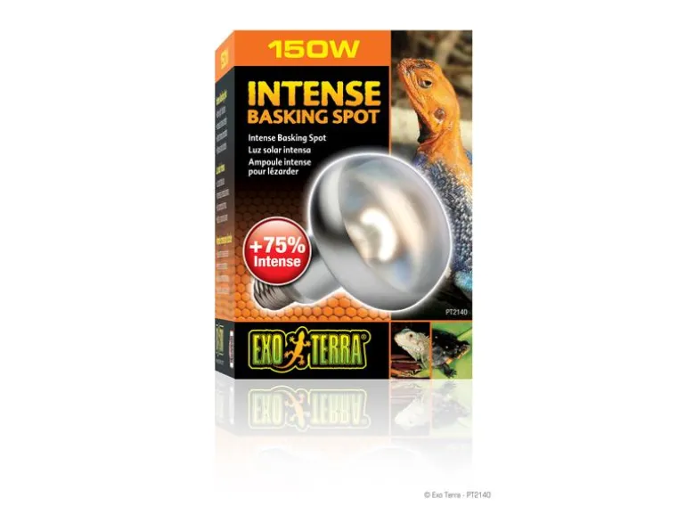 Exo Terra Terrarienlampe Intense Basking Spot E27, R30/150W
