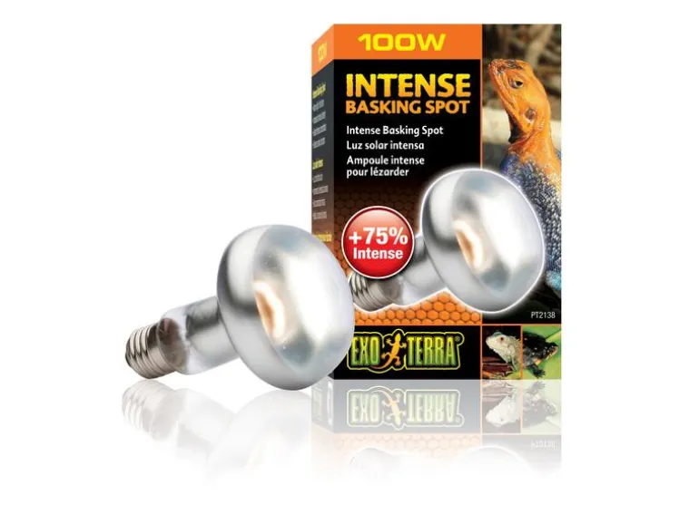 Exo Terra Terrarienlampe Intense Basking Spot E27, R25/100W