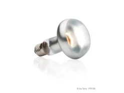Exo Terra Terrarienlampe Intense Basking Spot E27, R25/100W