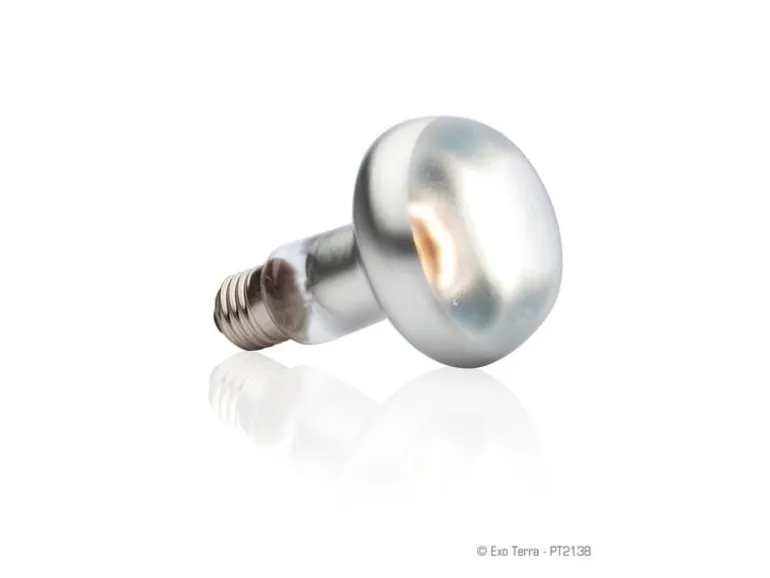 Exo Terra Terrarienlampe Intense Basking Spot E27, R25/100W