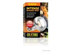 Exo Terra Terrarienlampe Intense Basking Spot E27, R25/100W
