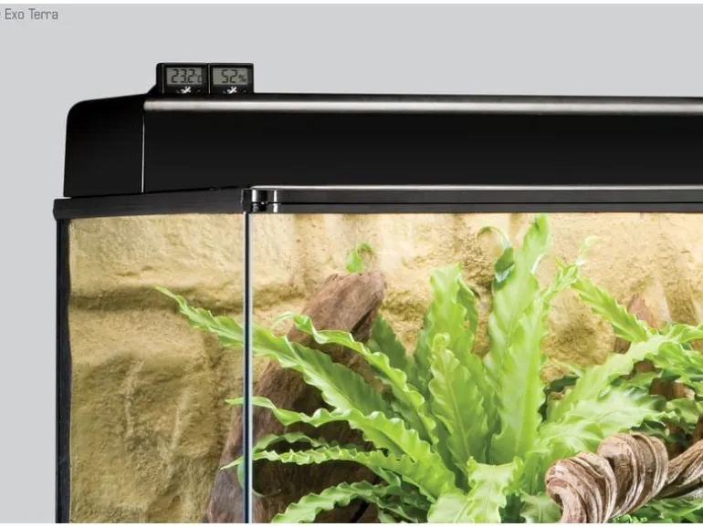 Exo Terra Thermometer Digital mit Fernsensor
