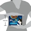 Felix Sensations Geschmacksvielfalt aus dem Wasser 12 x 85 g