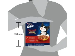 Felix Trockenfutter Doppelt Lecker Adult Fleisch 800 g