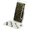 GamersGrass Laser Plants Agave