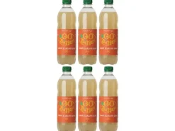 Go Ginger Soft-Drinks No Added Sugar PET 6 x 0.5 l