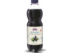 Holderhof Bio Schwarze Johannisbeerschorle 12 x 0.5 l