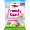 HOLLE Knabberspass Bio-Crunchy Snack 30 g