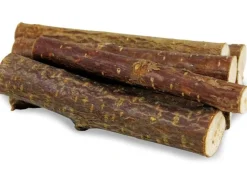 JR Farm Knabber-Hölzer Haselnuss 10 Stück, 40 g