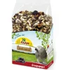 JR Farm Ziervogelfutter Individual Graupapagei, 950 g