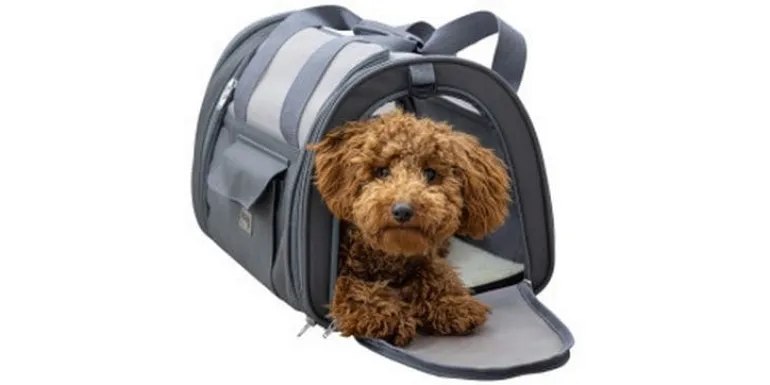 Kerbl Vacation Air 43 x 28 x 28 cm Grau