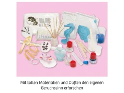 Kosmos Experimentierkasten Duft-Labor