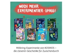 Kosmos Experimentierkasten Ritter-Schatz