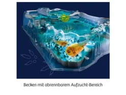 Kosmos Experimentierkasten Fun Science – Triops züchten