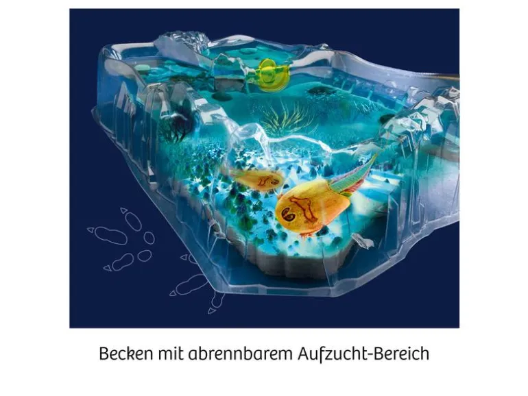 Kosmos Experimentierkasten Fun Science – Triops züchten