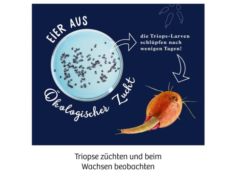 Kosmos Experimentierkasten Fun Science – Triops züchten