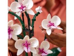 LEGO® Icons Botanicals Collection: Orchidee 10311