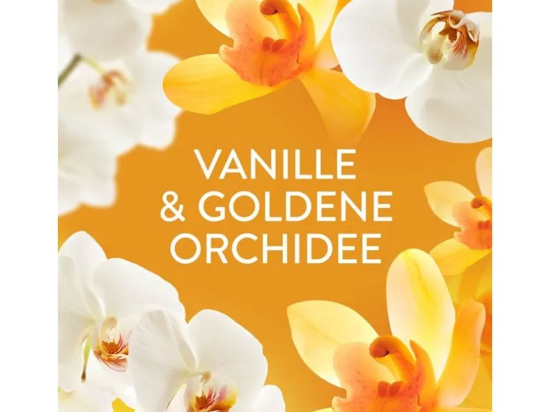 Lenor Wäscheparfüm Goldene Orchidee 0.495 kg