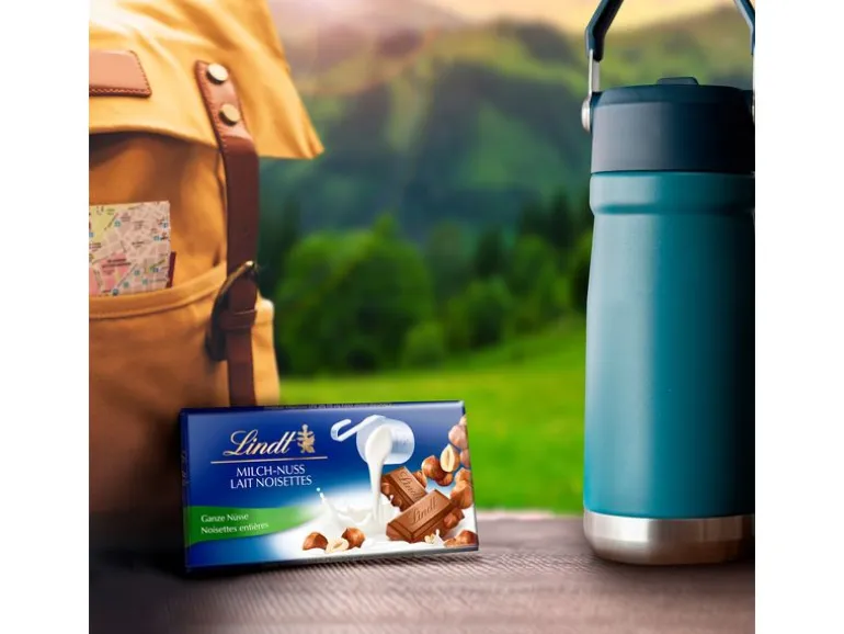 Lindt Tafelschokolade Milch Nuss 5 x 100 g