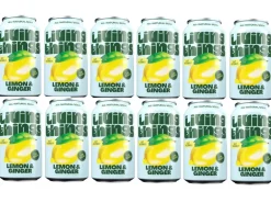 Living Things Soft-Drinks Lemon & Ginger 12 x 0.33 l