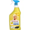 Meister Proper Sprühen-Wischen-Fertig Reinigungsspray Citrusfrische 800 ml