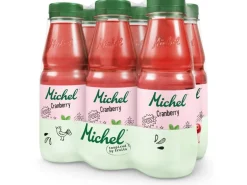 Michel Säfte Cranberry 6 x 0.33 l